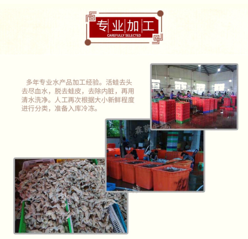 厂家直销真空冷冻牛蛙水产品批发特种养殖牛蛙冷冻