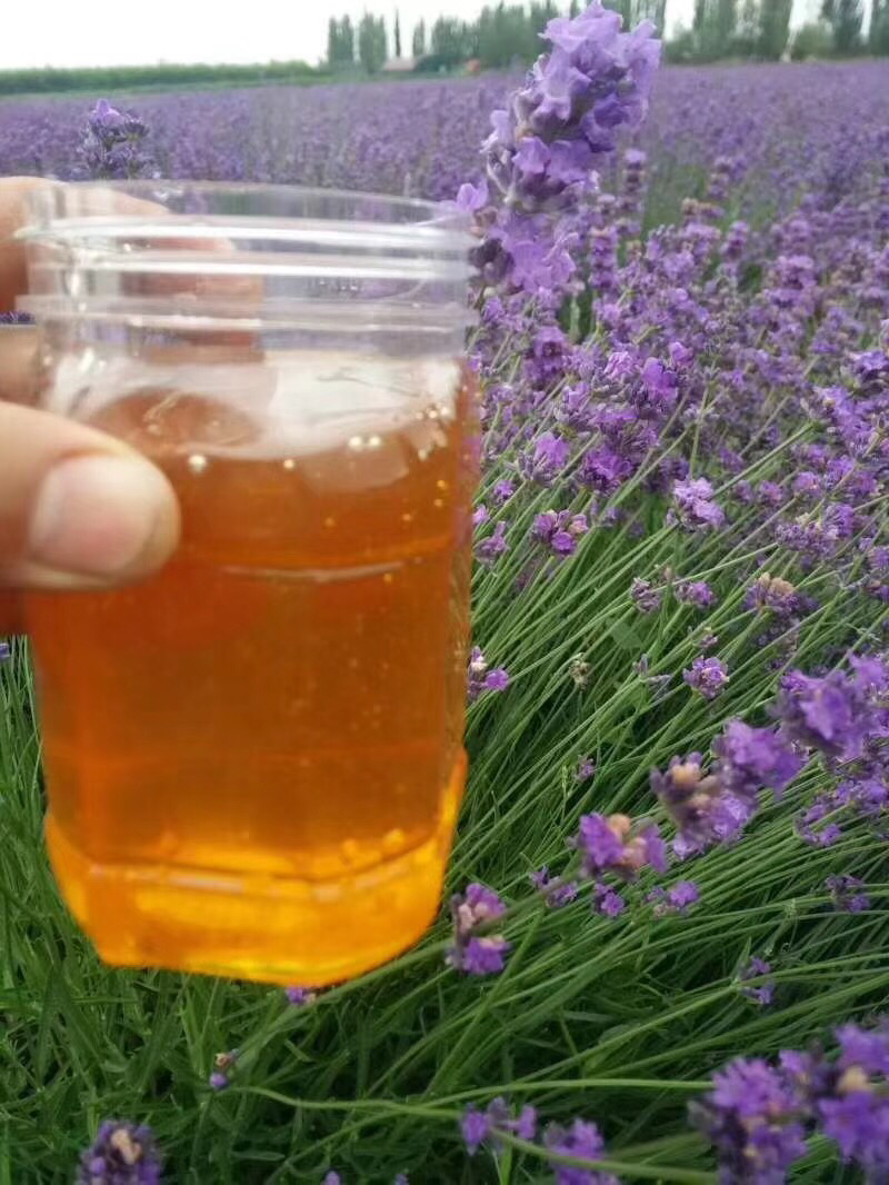 薰衣草蜂蜜