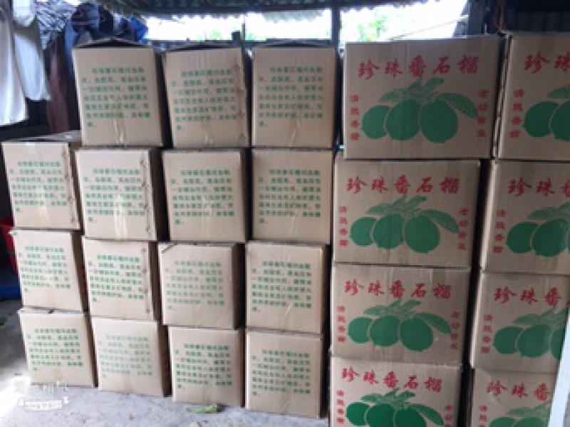 白心番石榴台湾珠珍番石榴芭乐热带水果批发