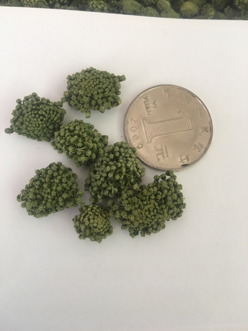 三七花2018新货