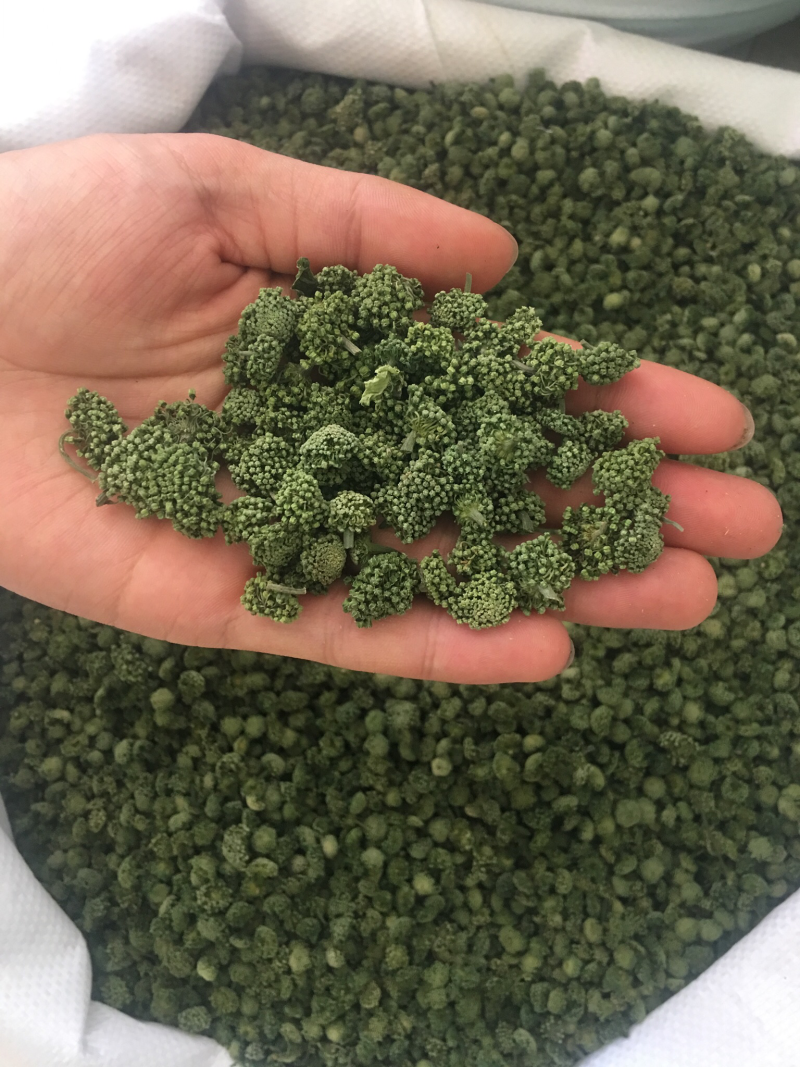 三七花2018新货