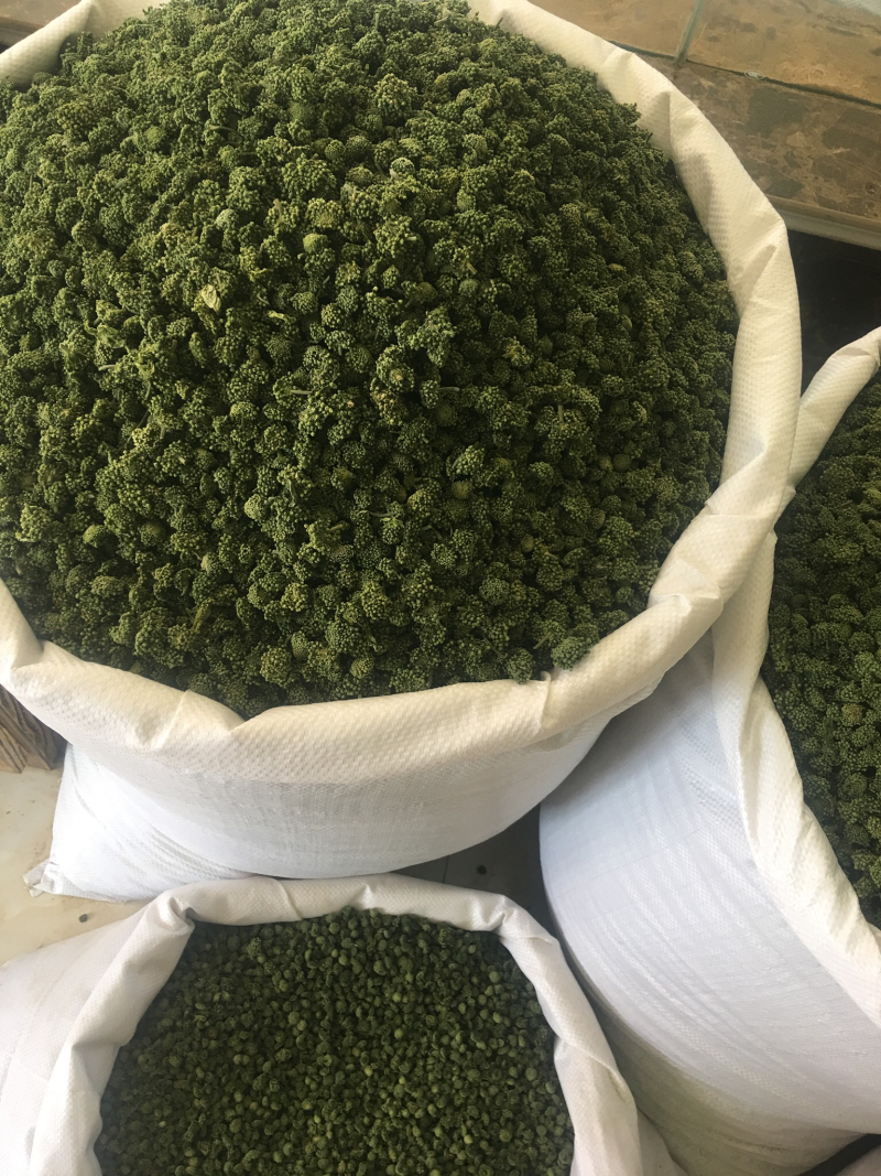 三七花2018新货