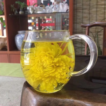 金丝皇菊，一盒十朵色泽金黄