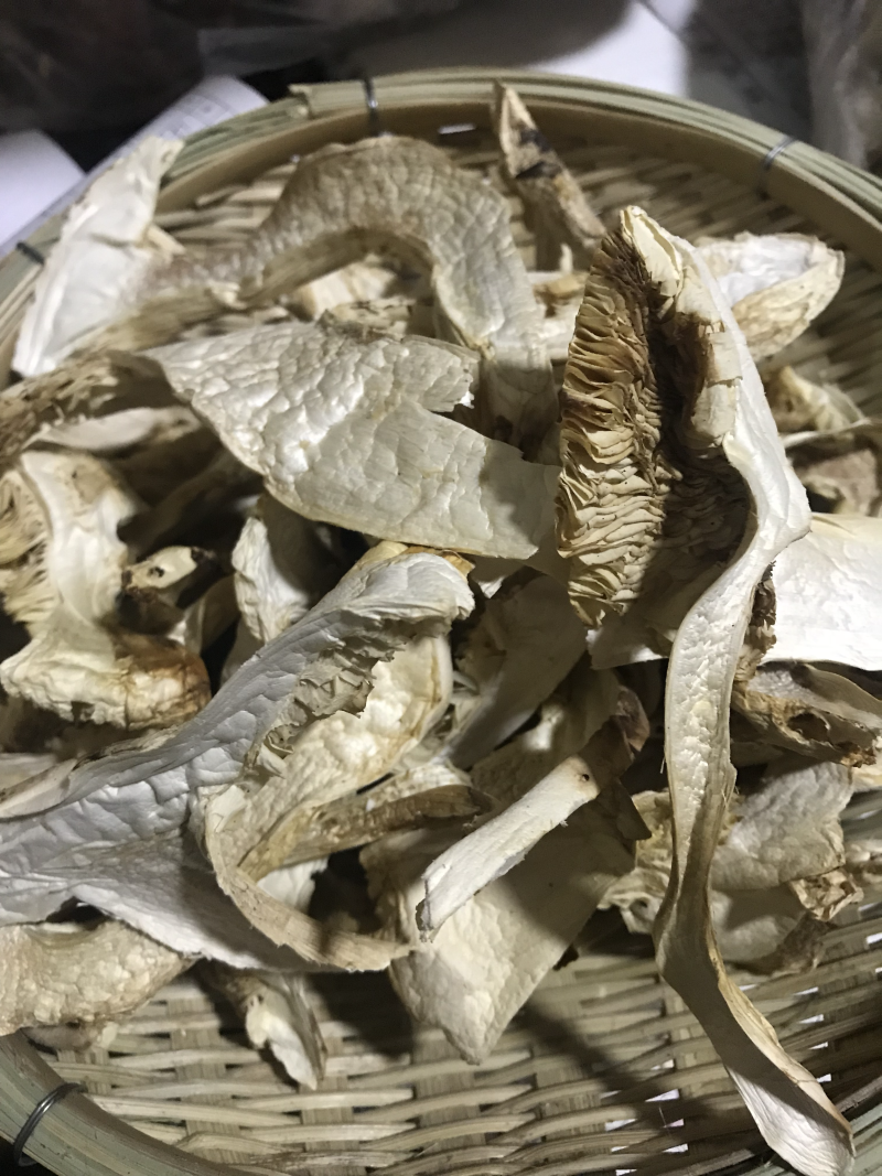 松茸干片