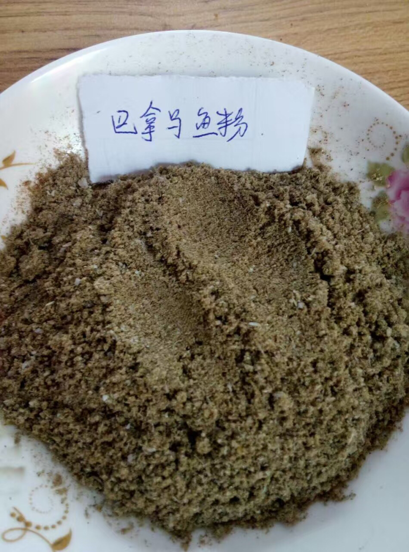 鱼虾饲料假一陪十
