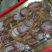 柿饼