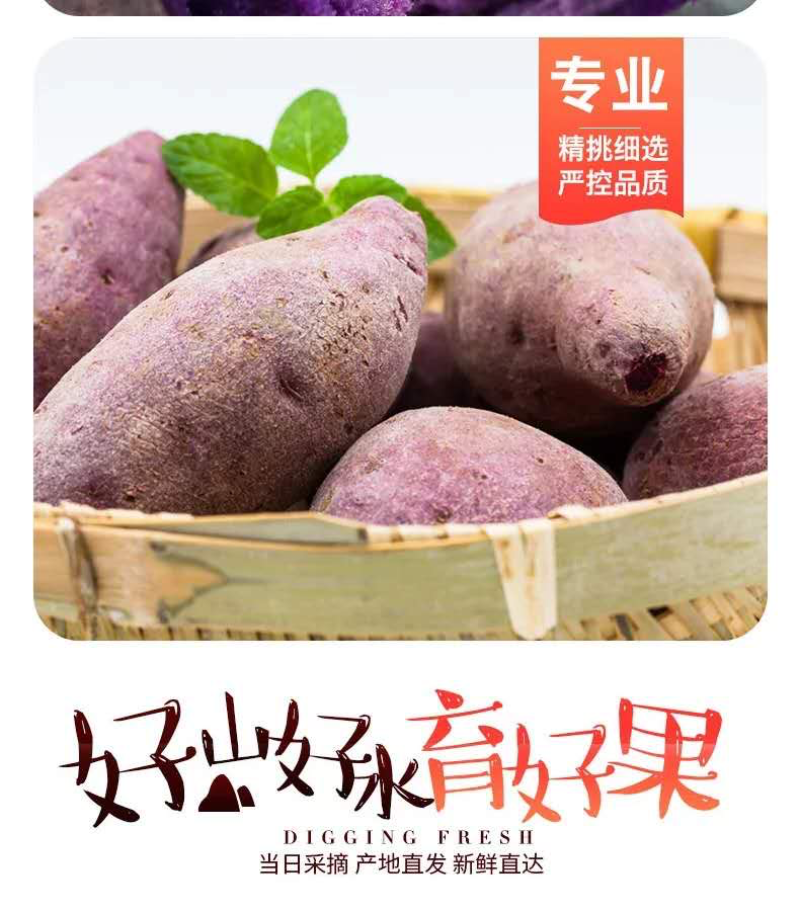 紫薯紫罗兰红薯地瓜抖音直播电商一件代发