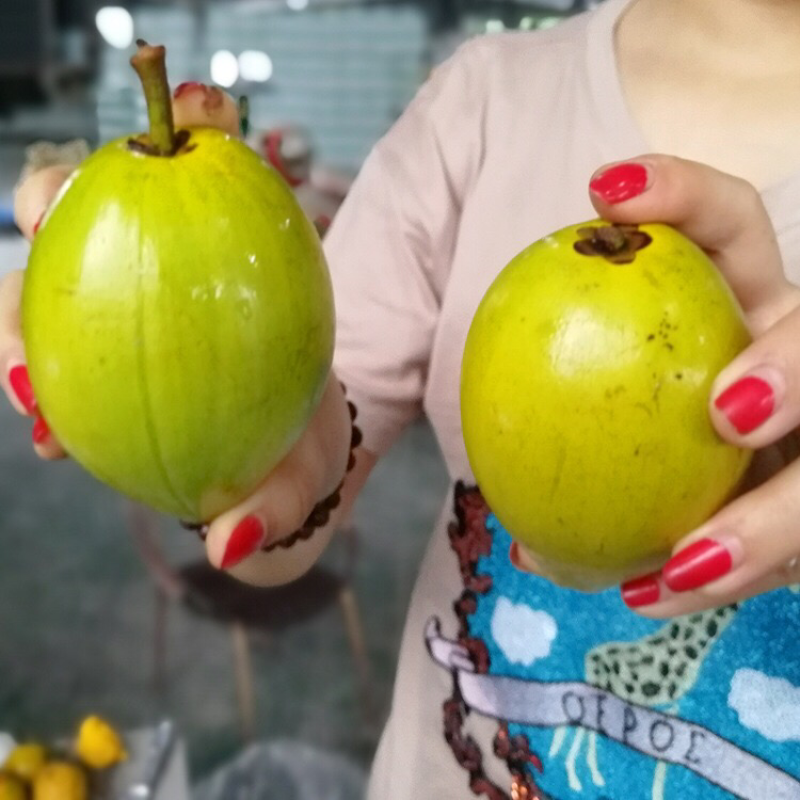 蛋黄果
