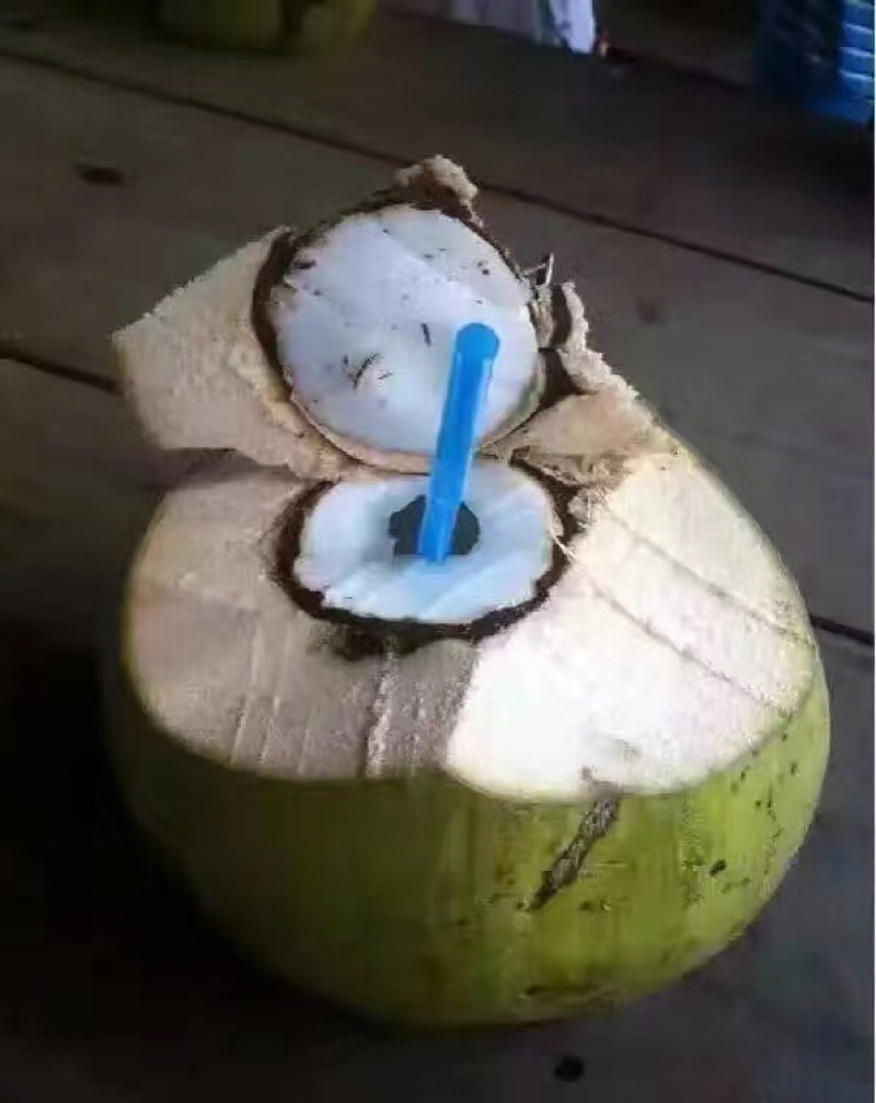 椰子