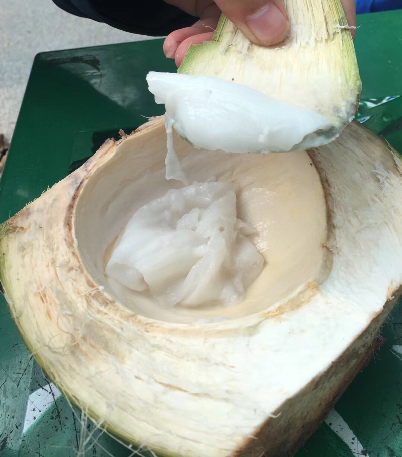 椰子