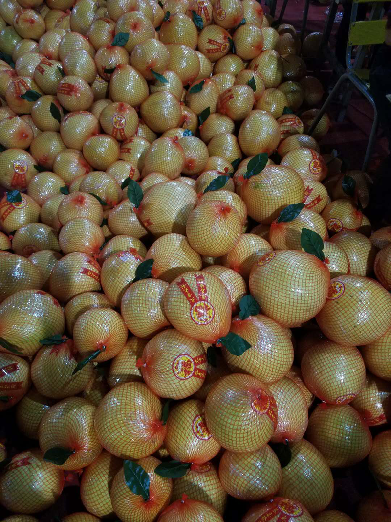 柚子三红柚子，每天10000件大量供应，可接一件代