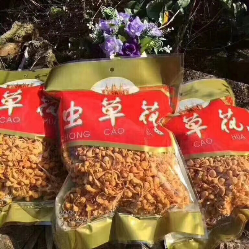 虫草花