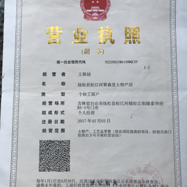 长白山生嗮参！红参、高丽参