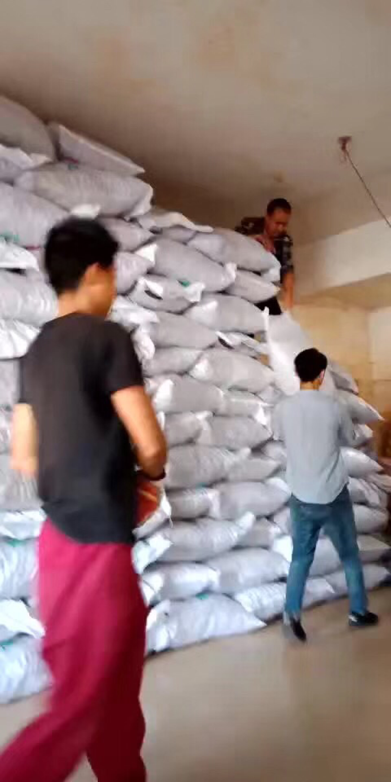 云南纸皮核桃今年新货