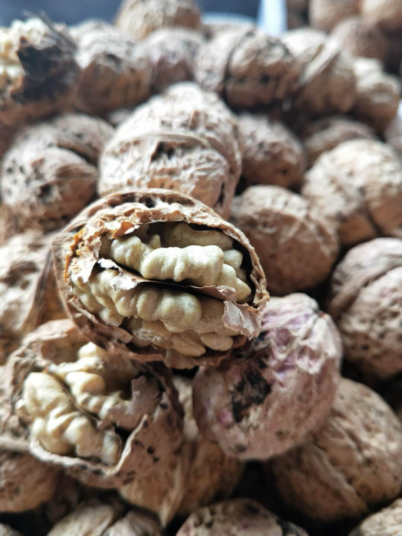 云南纸皮核桃今年新货