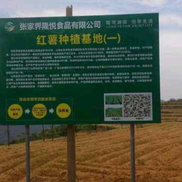 百分之百纯正红薯淀粉，无任何添加物