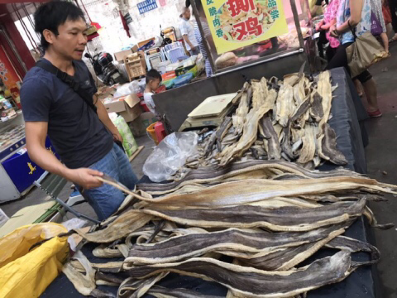 深海鳗鱼干