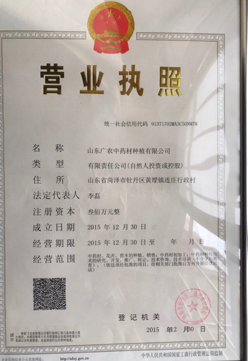 芍药种子，芍药苗子，芍药芽头，白芍苗，白芍种子