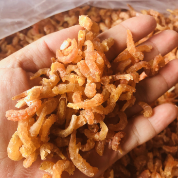 纯淡干不咸金钩海米