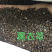 薰衣草种子