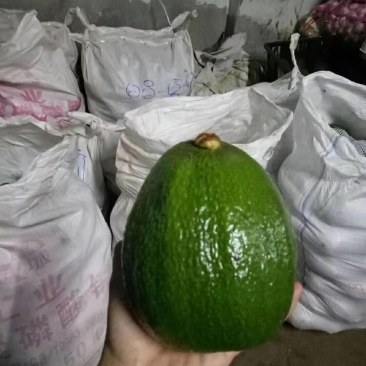 牛油果