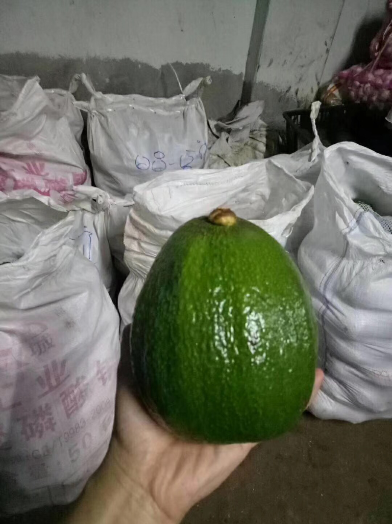 牛油果