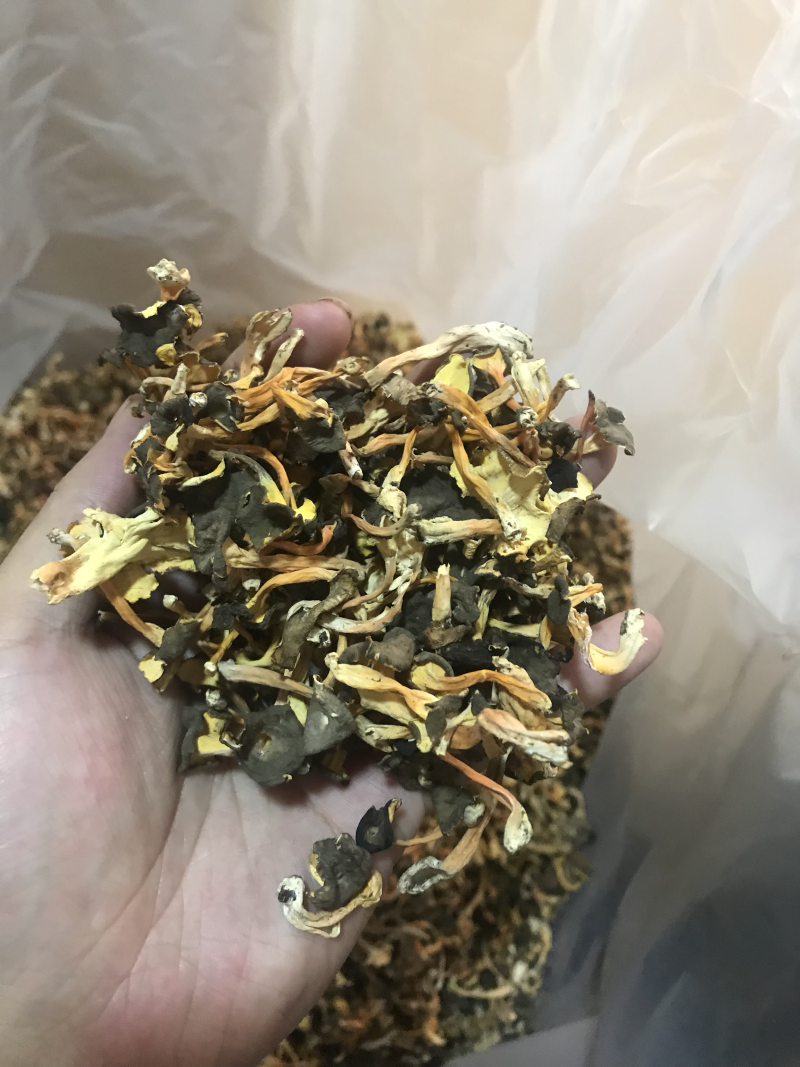 鸡油菌、