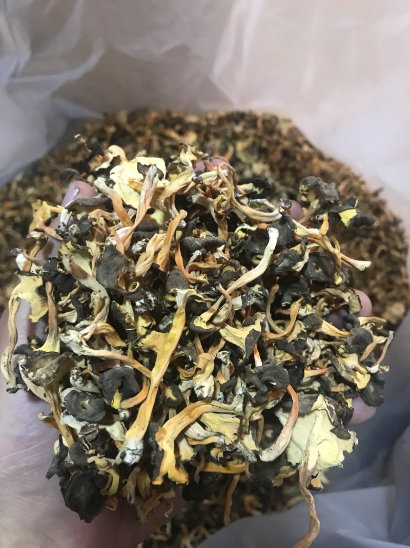 鸡油菌、