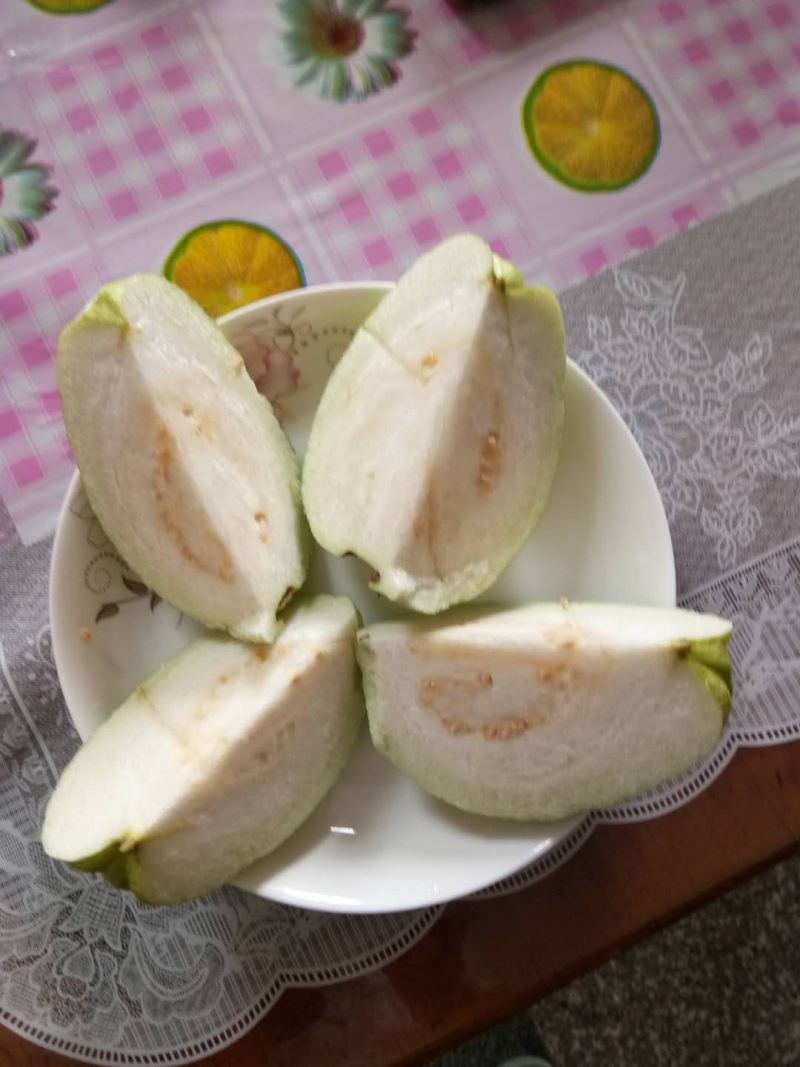 各种品种芭乐苗番石榴苗