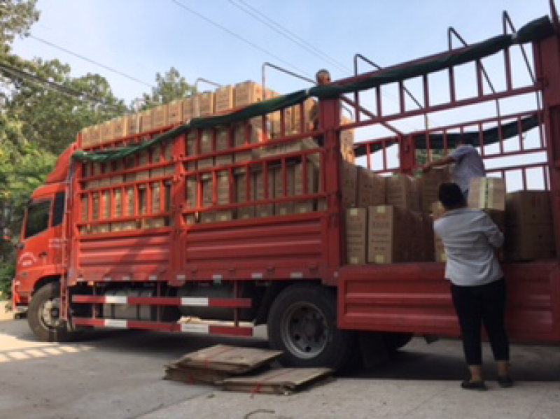 陕西精品二荆条辣椒，大量上市，20～35厘米微辣青