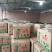 陕西精品二荆条辣椒，大量上市，20～35厘米微辣青