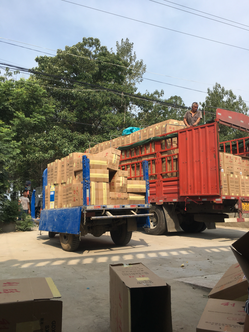 陕西精品二荆条辣椒，大量上市，20～35厘米微辣青
