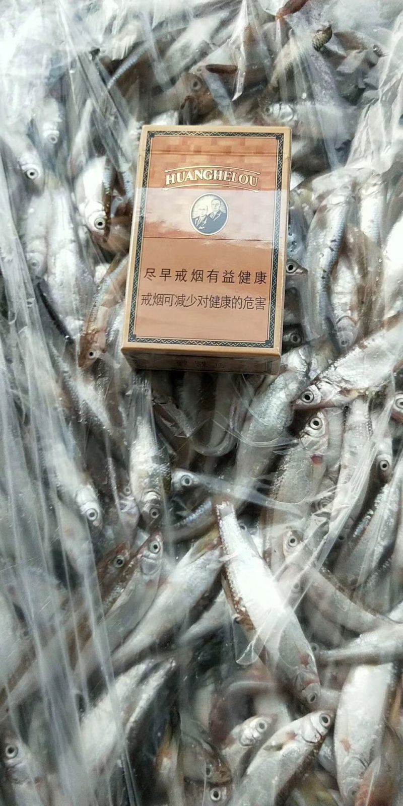 出售小白鱼公鱼干鱼干