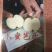 水蜜芭乐番石榴苗芭乐