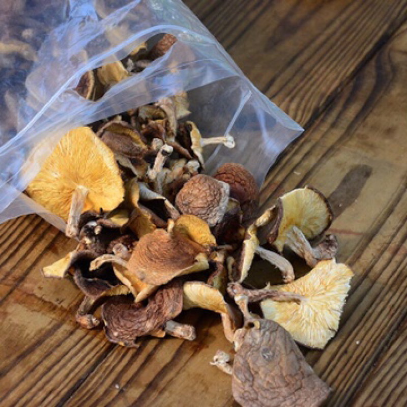 砍花薄香菇野生有机富硒原生态自然生长高品质