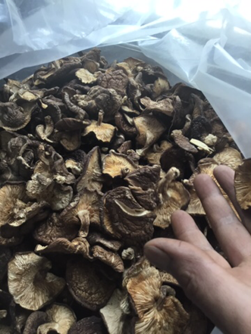 砍花薄香菇野生有机富硒原生态自然生长高品质