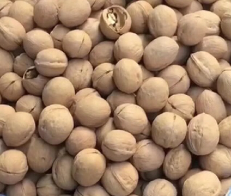 核桃仁