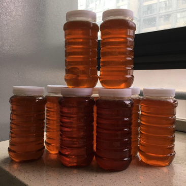 土蜂蜜求收购，1000斤