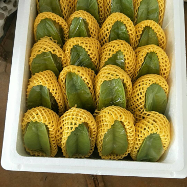 杨桃，各种规格，**超市，电商