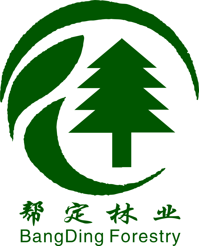 高山生态林下散养土鸡（精品）