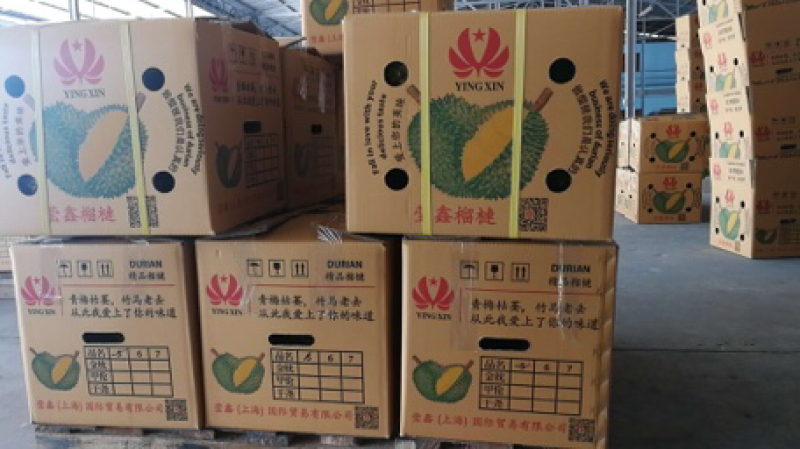 泰国榴莲，预计9月10号到嘉兴市场