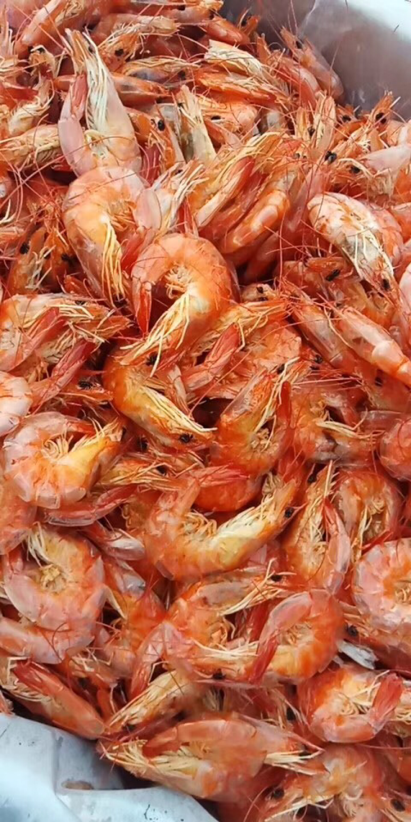 新鲜的烤虾，自家烤虾