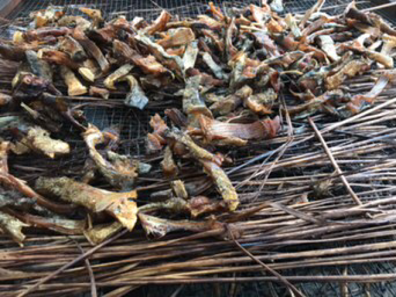鱼干