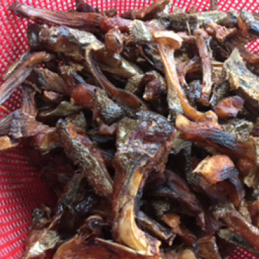 鱼干