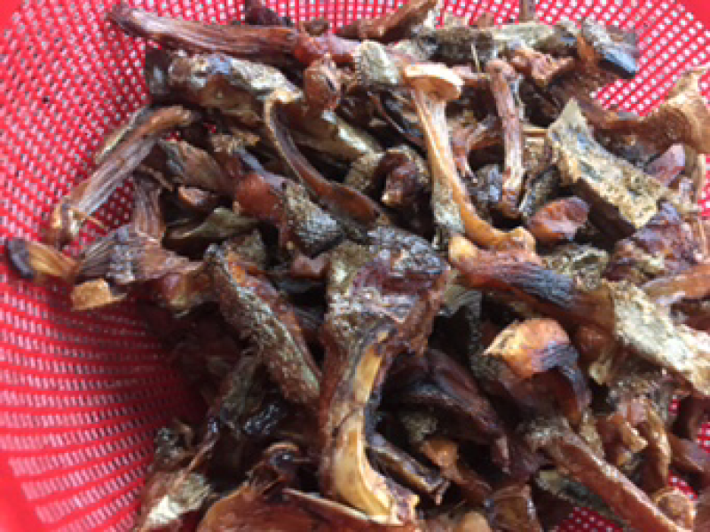 鱼干