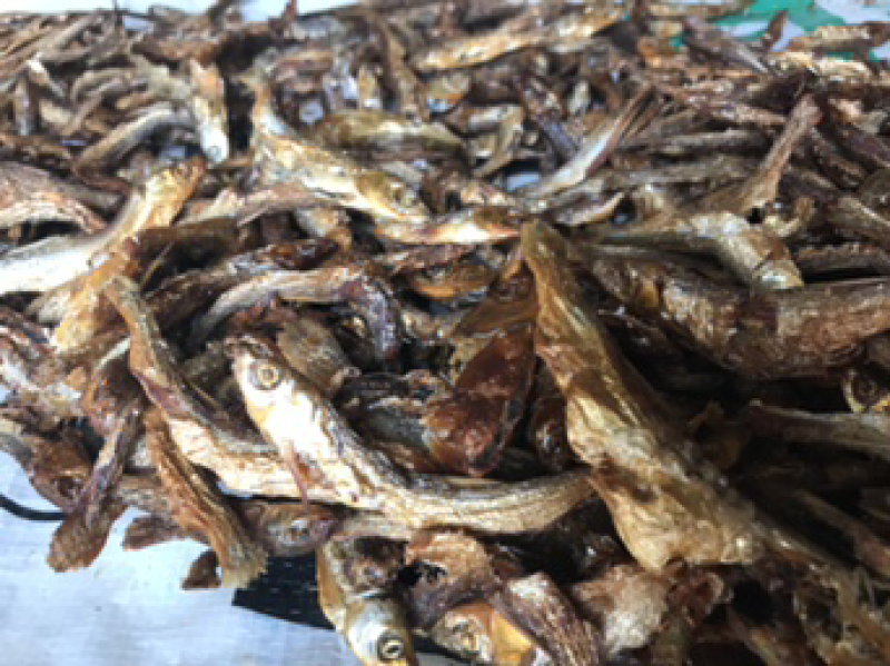 鱼干