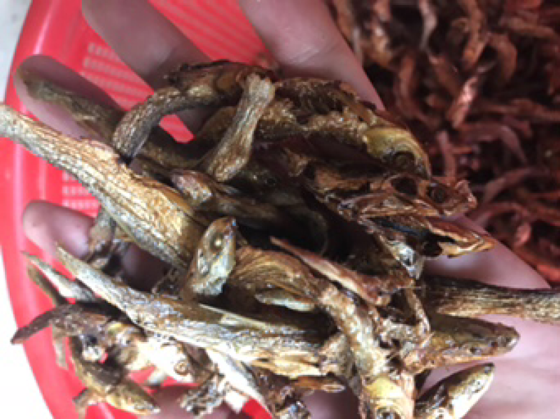 鱼干