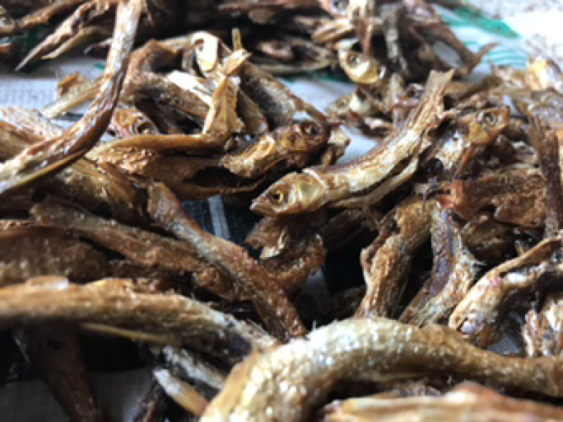 鱼干