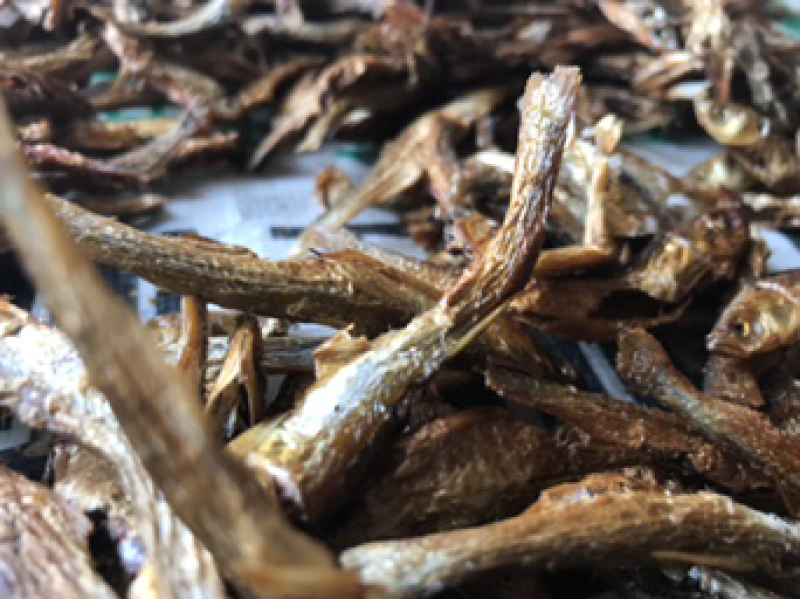 鱼干