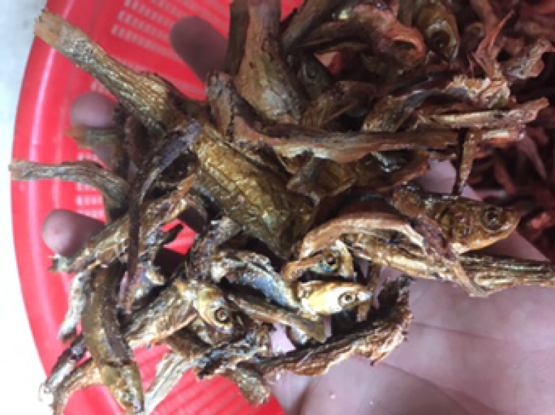 鱼干